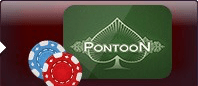 Pontoon Logo